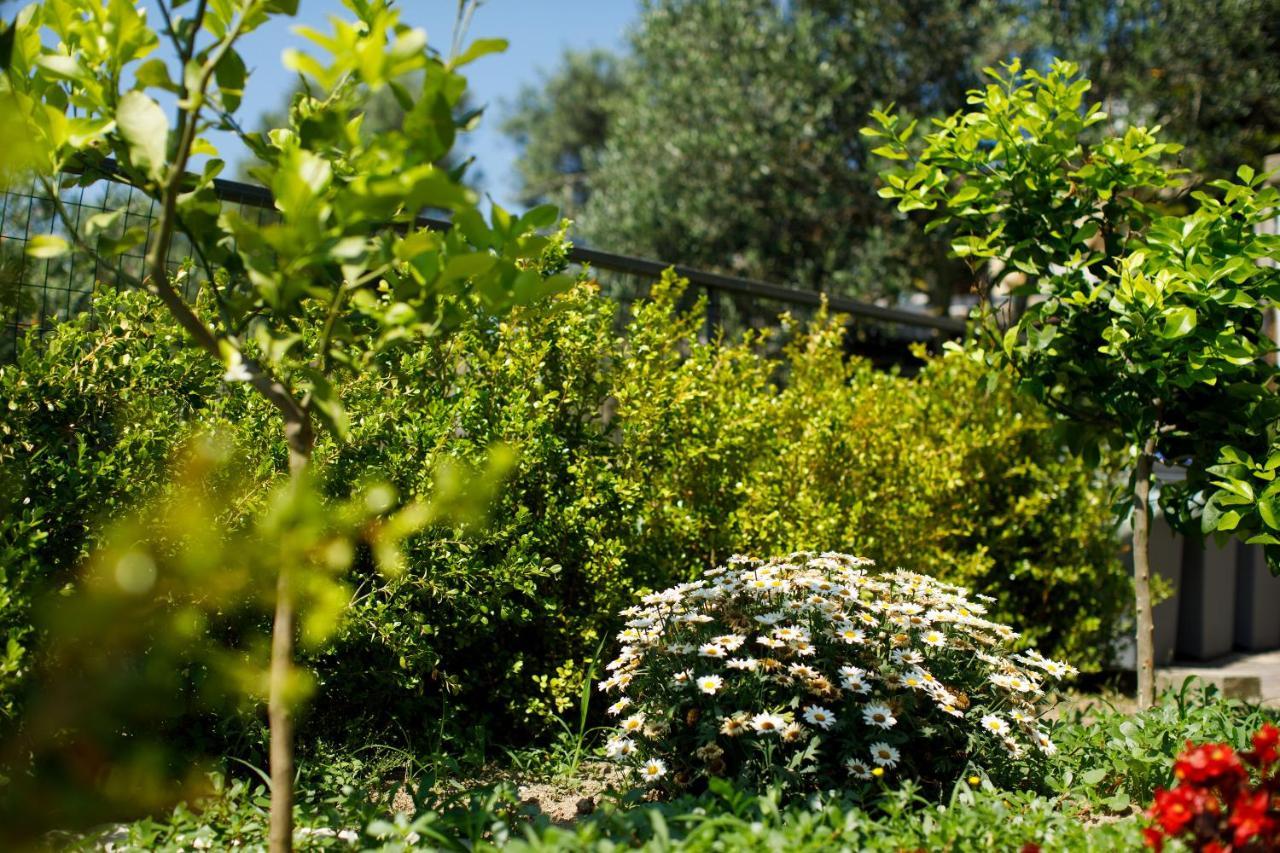 Casa Del Saraceno Villa Massa Lubrense Exterior foto